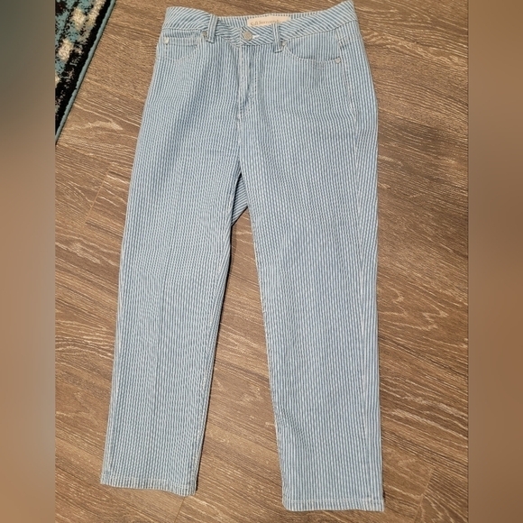 Soft Surroundings Blue and White Vertical Striped Cropped Pants Size 6 P - Picture 4 of 7